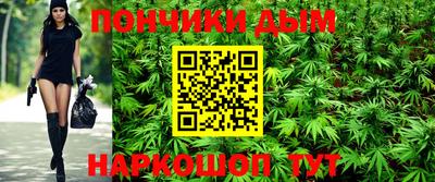 МДПВ Моздок