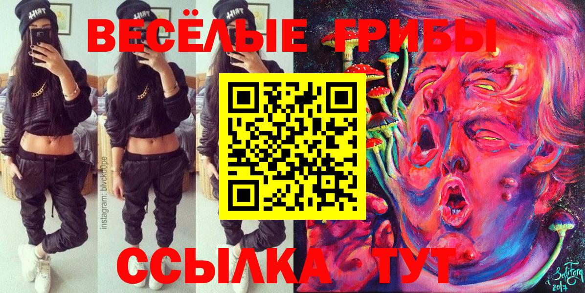 Усть-Илимск  Псилоцибиновые грибы Magic Shrooms  купить закладку  Вход с VPN 